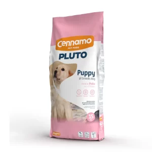 PLUTO Dog Puppy All Breeds