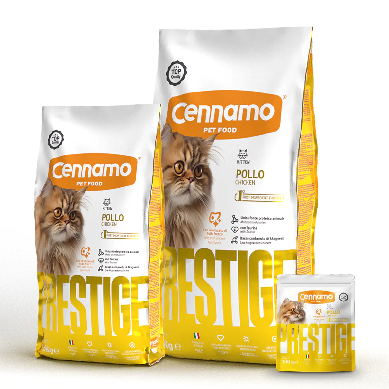 PRESTIGE Cat Kitten Pollo