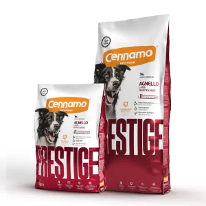 PRESTIGE Dog Adult Maintenance Medium Agnello